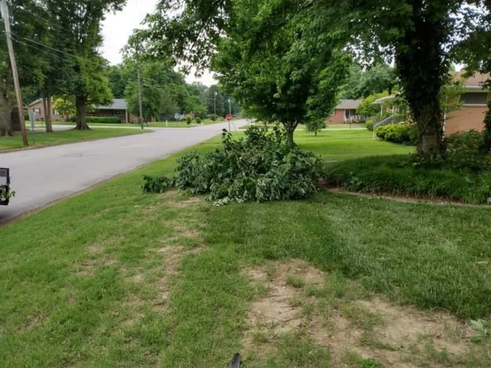 Reliable residential landscaping for homes in Ripley, TN by The Fullness Thereof