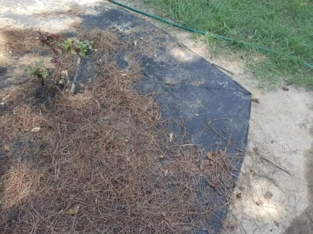 Professional landscape design for beautiful yards in Ripley, TN by The Fullness Thereof