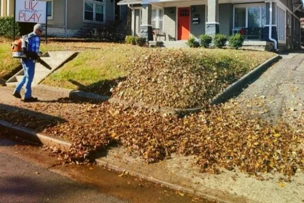 The Fullness Thereof