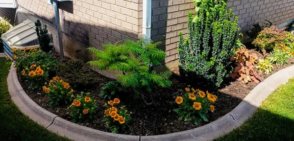 The Garden Angel Logo