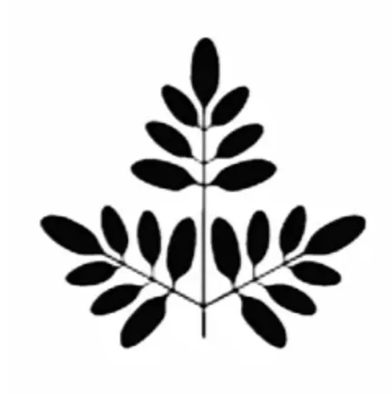 Local lawn mowing service for year-round maintenance across Eugene, OR - The Garden Artist