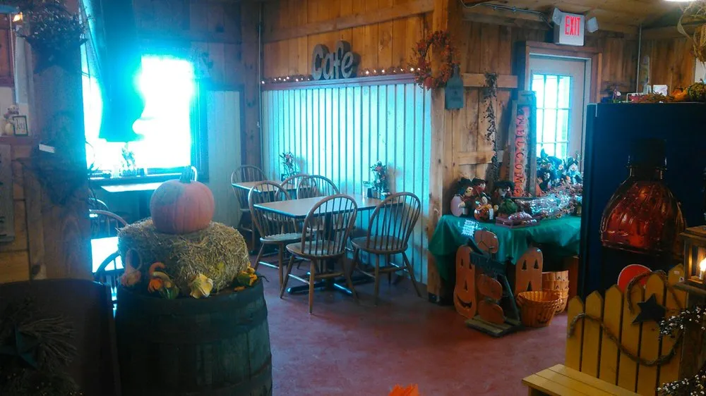 Reliable yard cleanup service for homes across Fort Edward, NY - The Garden Barn