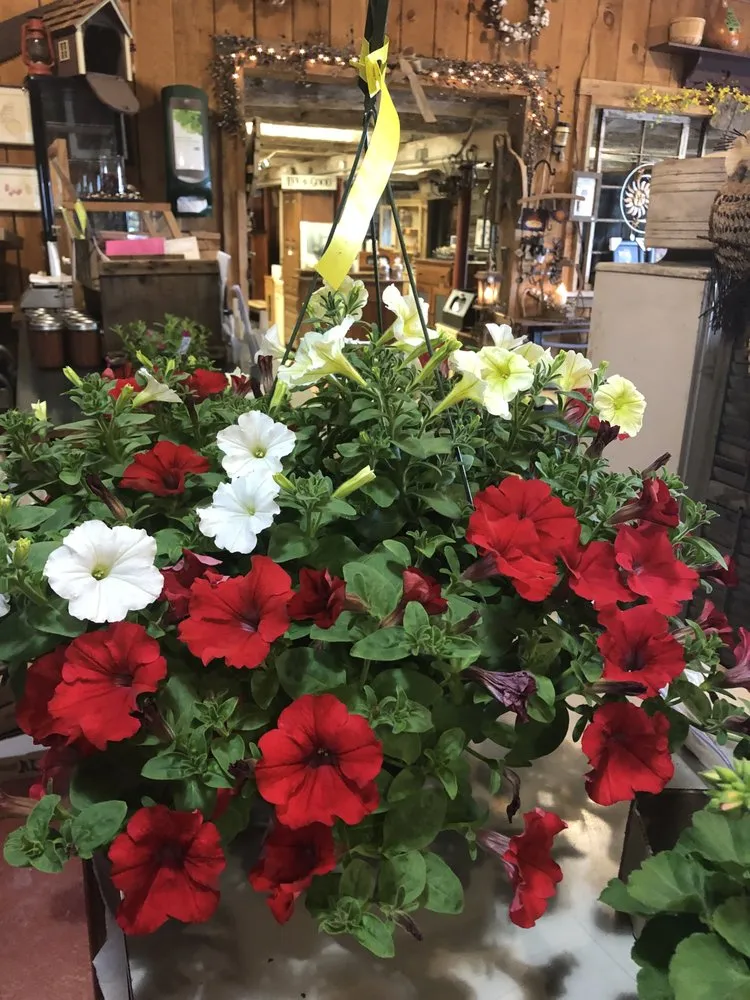 Reliable landscaping services in Fort Edward, NY - The Garden Barn