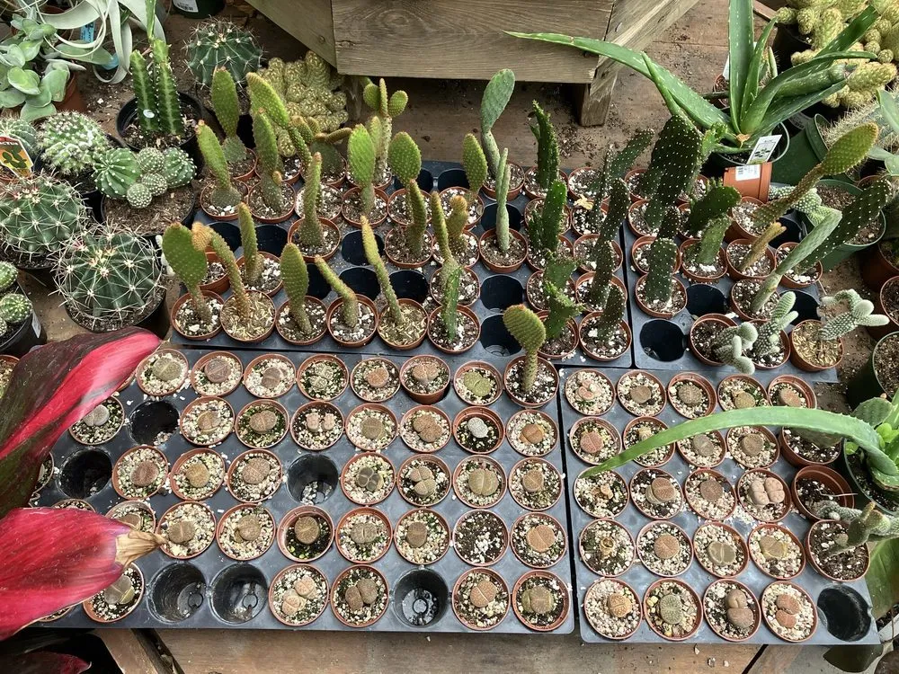 Trusted lawn care service in Vernon, CT - The Garden Barn Nursery