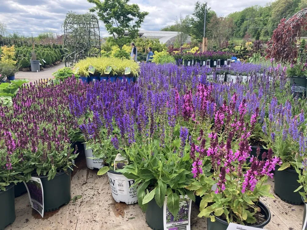 Top-rated lawn mowing service near you in Vernon, CT by The Garden Barn Nursery