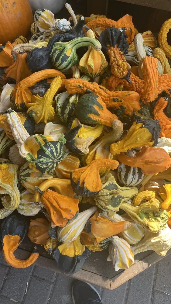 Local residential landscaping experts serving Vernon, CT - The Garden Barn Nursery