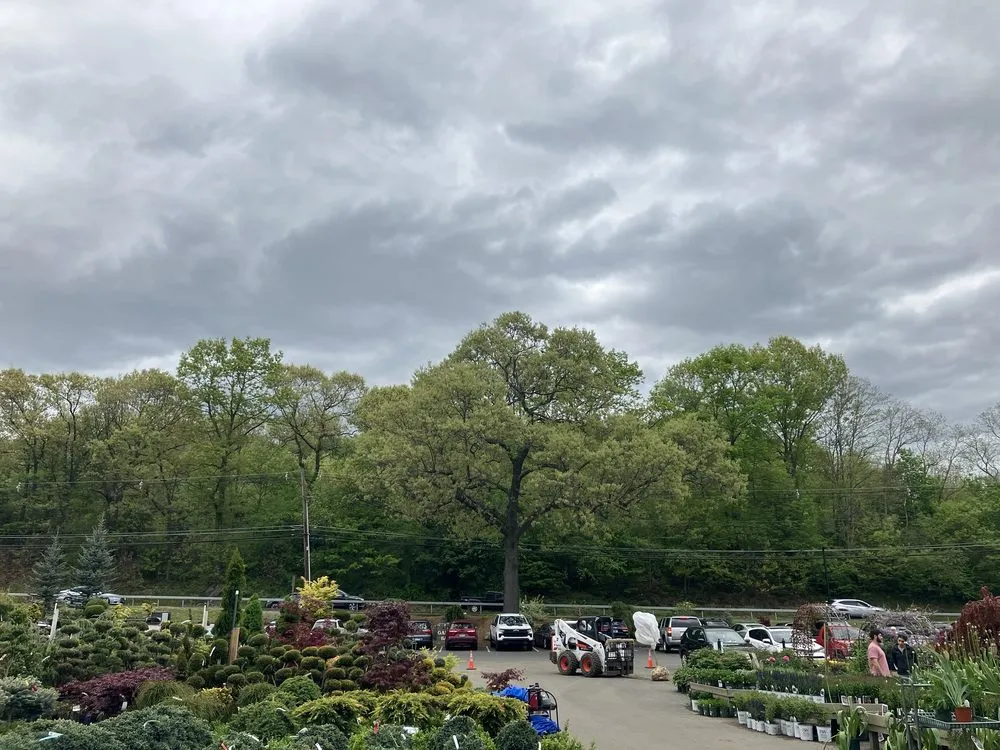 Reliable lawn mowing service near you in Vernon, CT by The Garden Barn Nursery