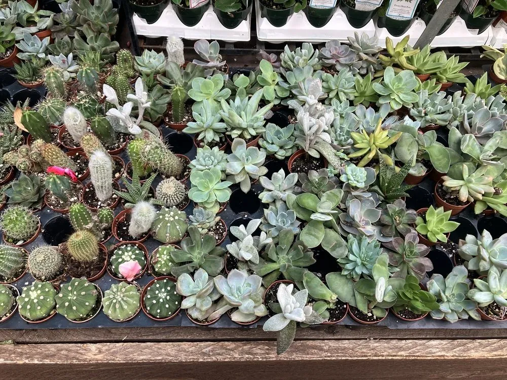 Custom lawn mowing service experts serving Vernon, CT - The Garden Barn Nursery