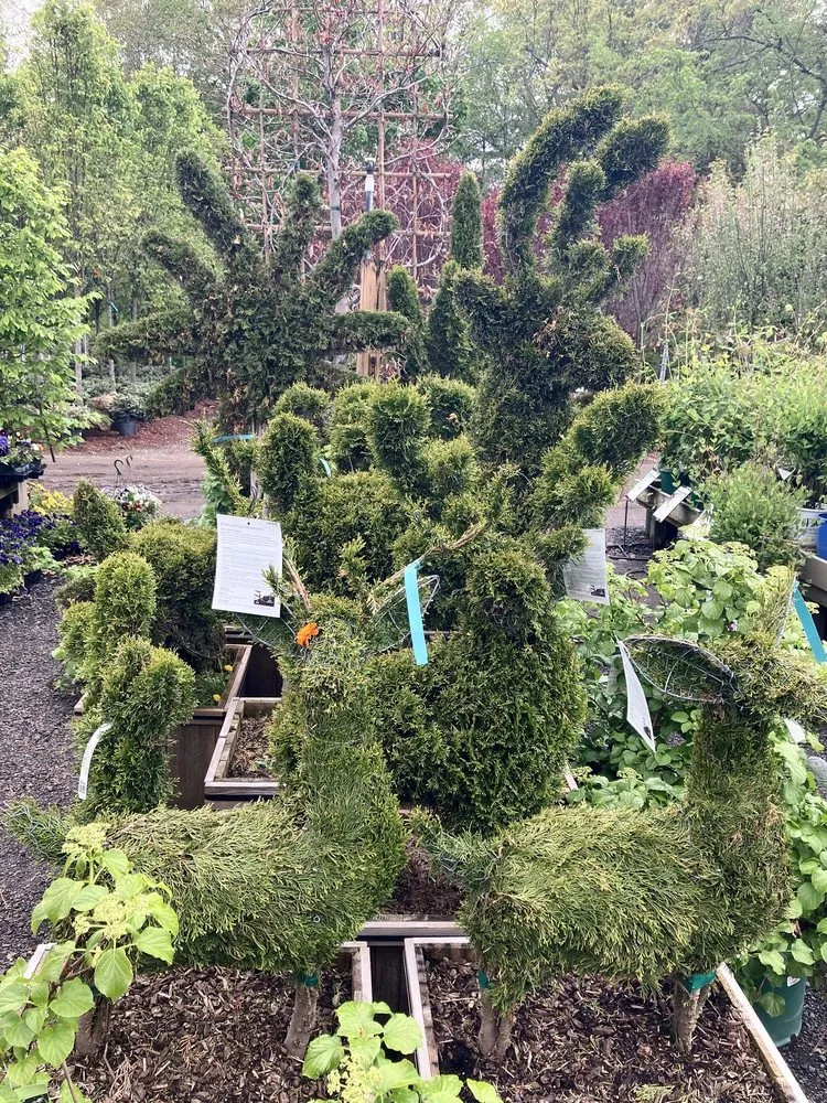 Custom garden landscaping in Vernon, CT - The Garden Barn Nursery