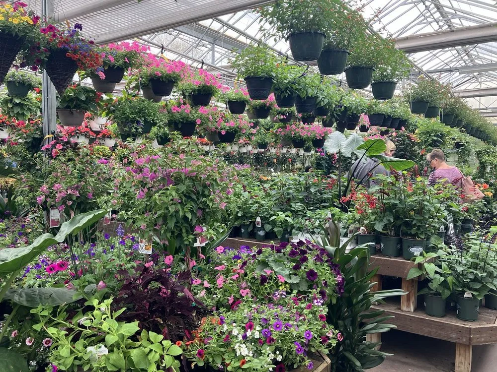 Reliable yard cleanup service experts serving Vernon, CT - The Garden Barn Nursery