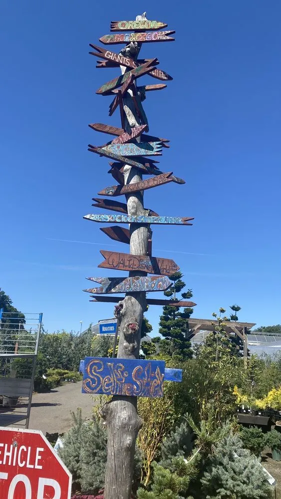 Custom outdoor landscaping experts serving Vernon, CT - The Garden Barn Nursery