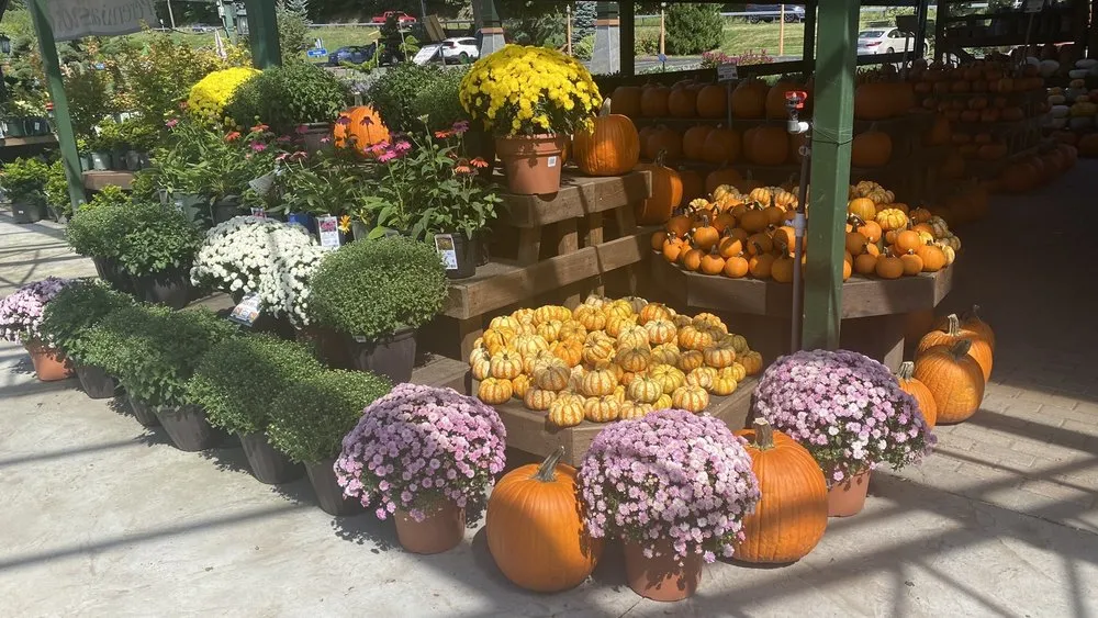 Professional outdoor landscaping in Vernon, CT - The Garden Barn Nursery