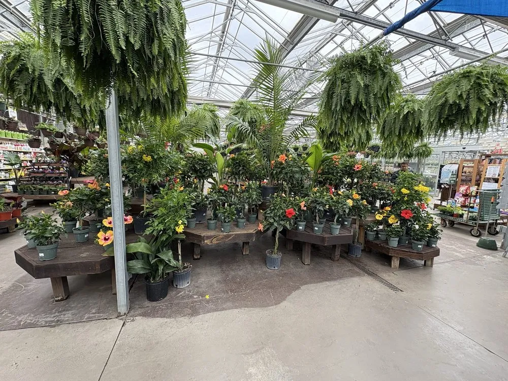 Affordable lawn mowing service experts serving Vernon, CT - The Garden Barn Nursery