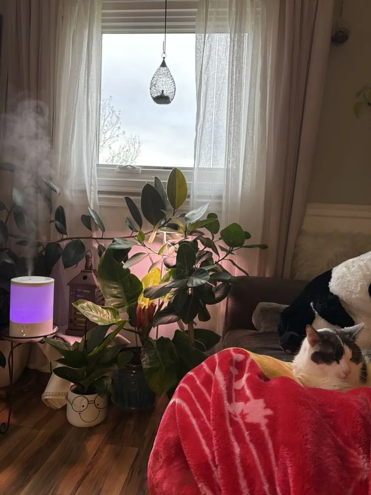 Reliable garden landscaping in Vernon, CT - The Garden Barn Nursery