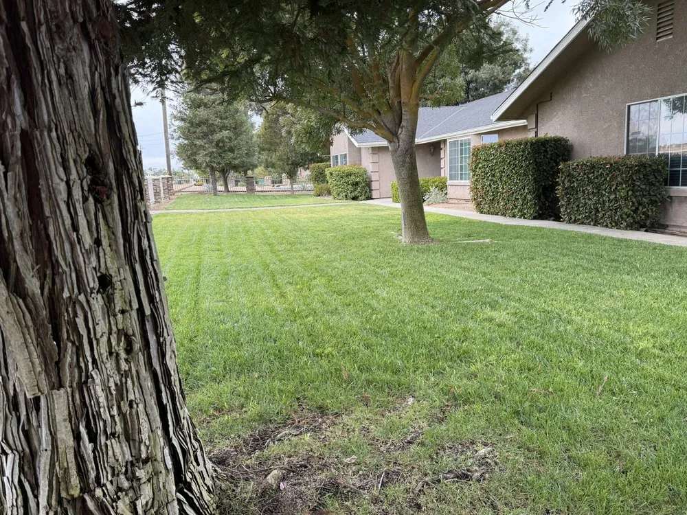 Reliable garden landscaping for homes in Fresno, CA by The Garden Boyz