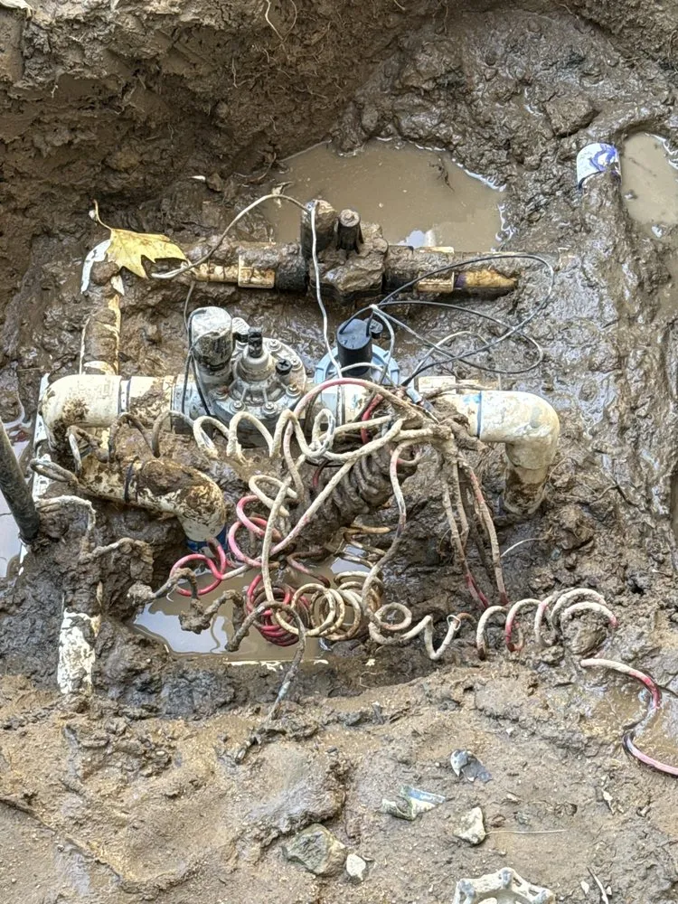 Top-rated lawn care service in Fresno, CA - The Garden Boyz