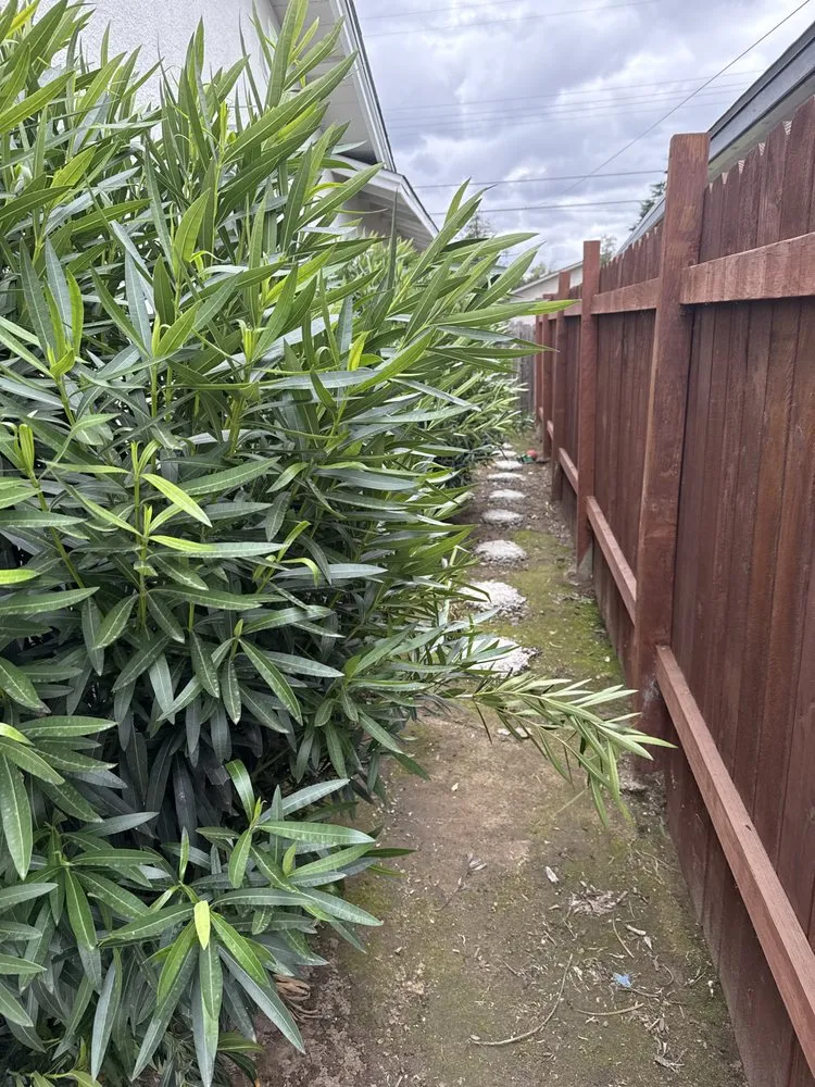 Custom garden landscaping for outdoor upgrades across Fresno, CA - The Garden Boyz