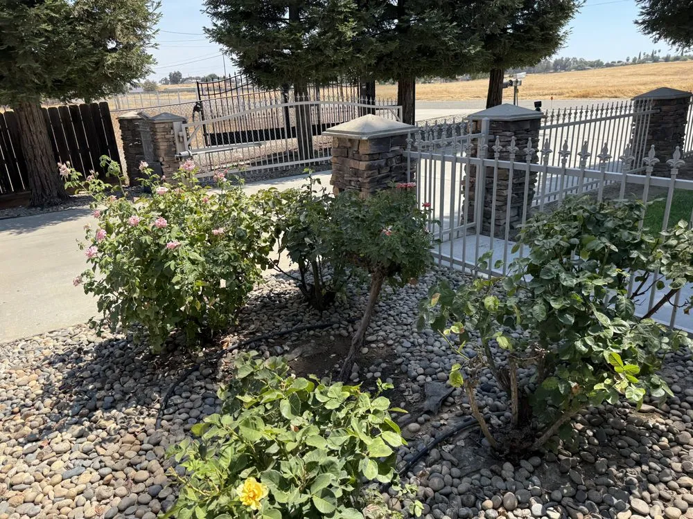 Top-rated lawn care service for beautiful yards across Fresno, CA - The Garden Boyz