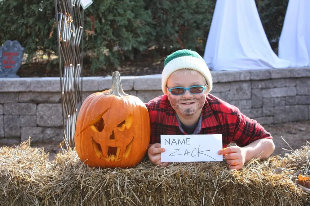 Expert landscaping services for residential properties in Chanhassen, MN by The Garden By The Woods