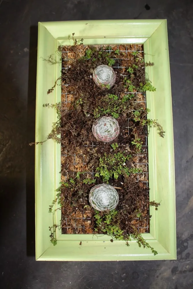 Reliable yard maintenance for beautiful yards across Chanhassen, MN - The Garden By The Woods