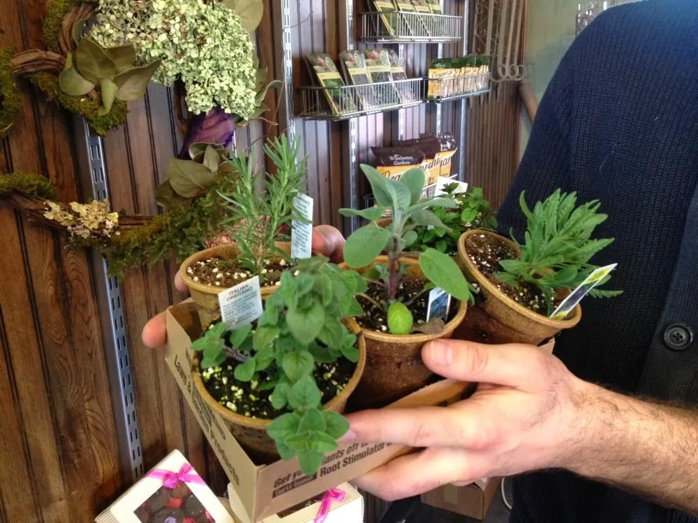 Professional garden landscaping for residential properties in Chanhassen, MN by The Garden By The Woods