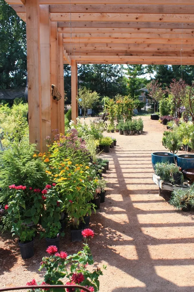 Professional landscape design with custom design in Chanhassen, MN by The Garden By The Woods