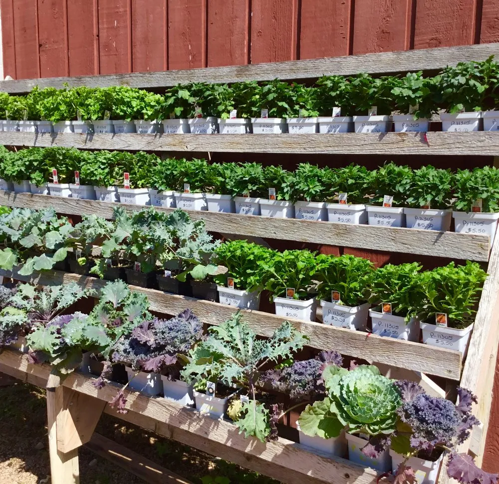 Reliable residential landscaping experts serving Chanhassen, MN - The Garden By The Woods