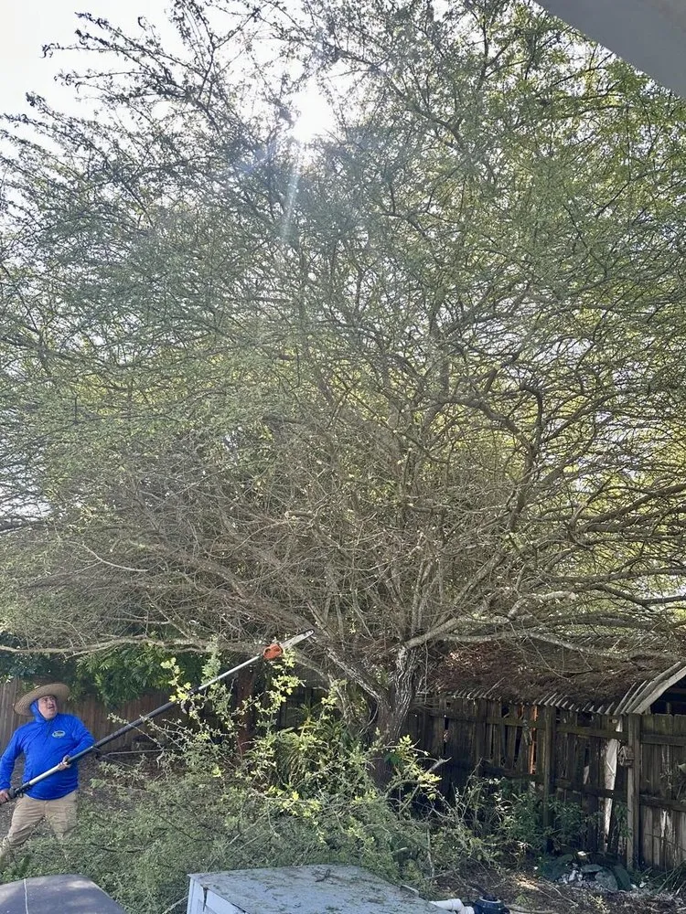 Trusted landscaping services in Miami, FL by The Garden Choice