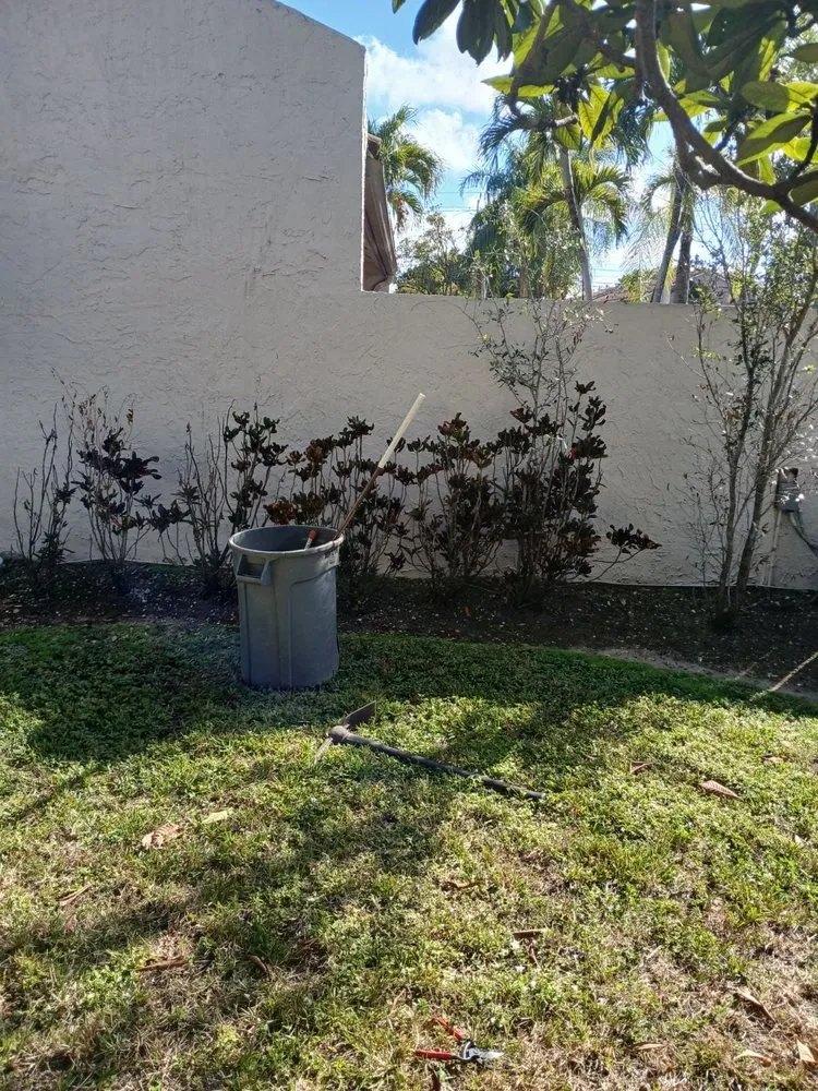 Expert yard maintenance for outdoor upgrades in Miami, FL by The Garden Choice