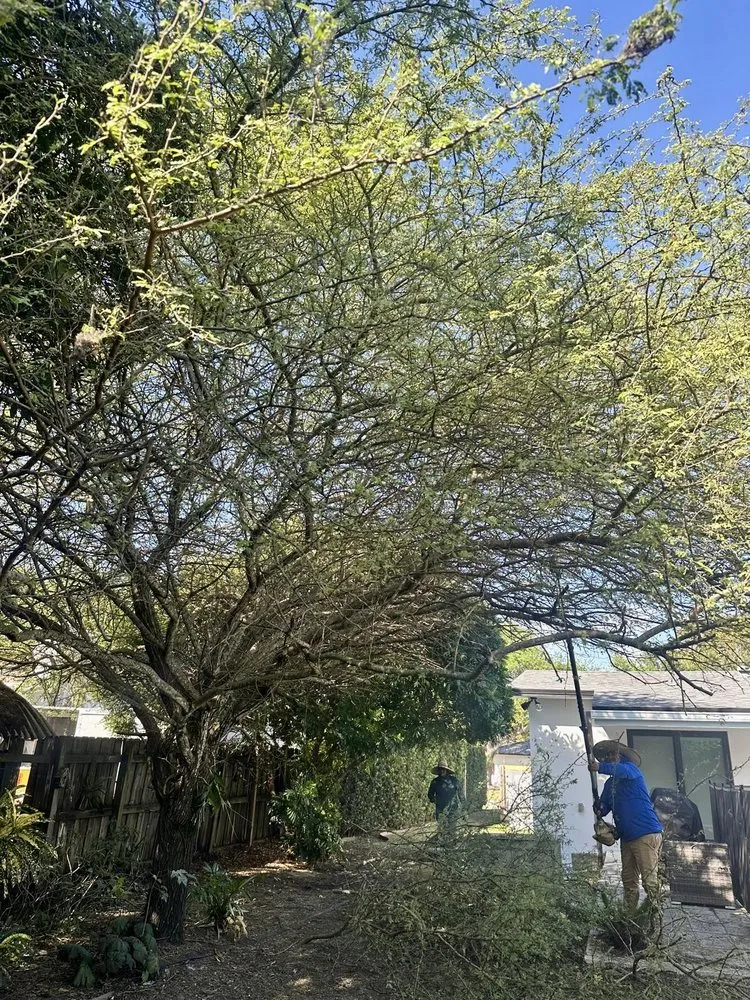 Custom landscaping services in Miami, FL by The Garden Choice