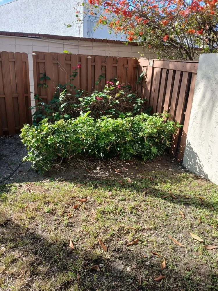 Custom yard cleanup service in Miami, FL - The Garden Choice