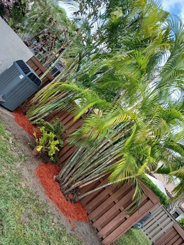 Professional landscaping services experts serving Miami, FL - The Garden Choice