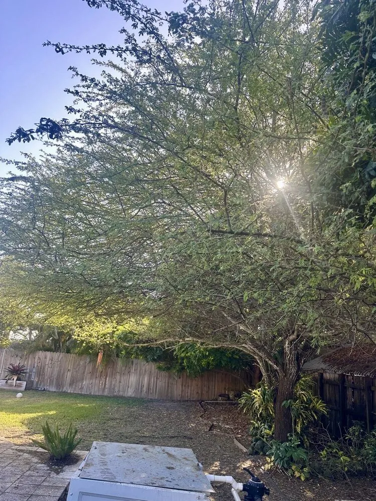 Local landscape design experts serving Miami, FL - The Garden Choice