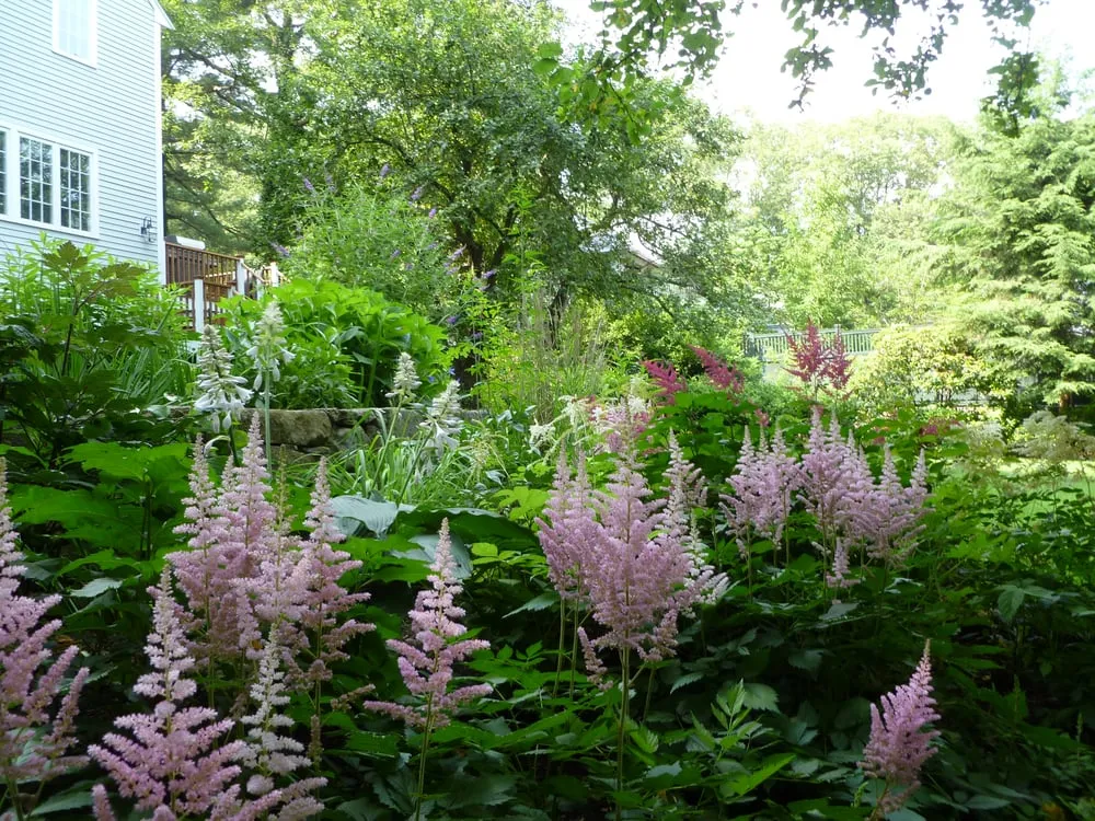 Expert landscape installation in Medfield, MA by The Garden Continuum