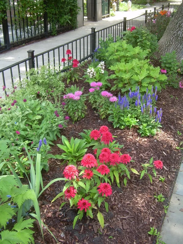 Professional landscape installation in Chicago, IL - The Garden Gal