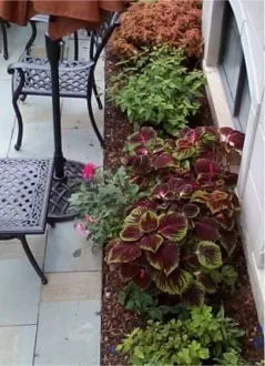 Trusted outdoor landscaping for outdoor upgrades across Chicago, IL - The Garden Gal