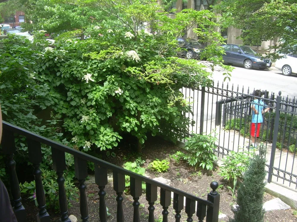 Professional residential landscaping experts serving Chicago, IL - The Garden Gal