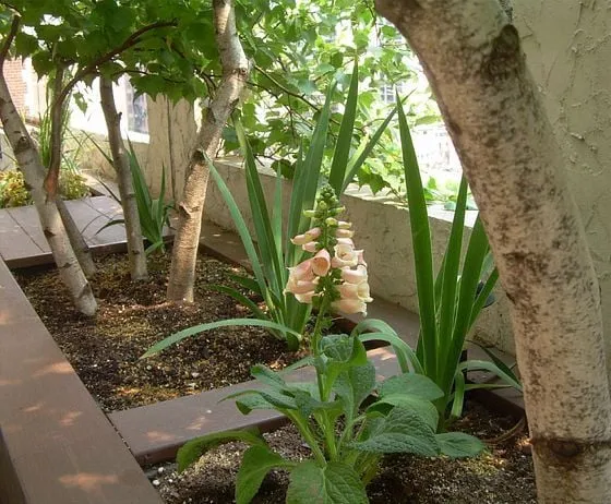 Expert lawn mowing service in Chicago, IL by The Garden Gal