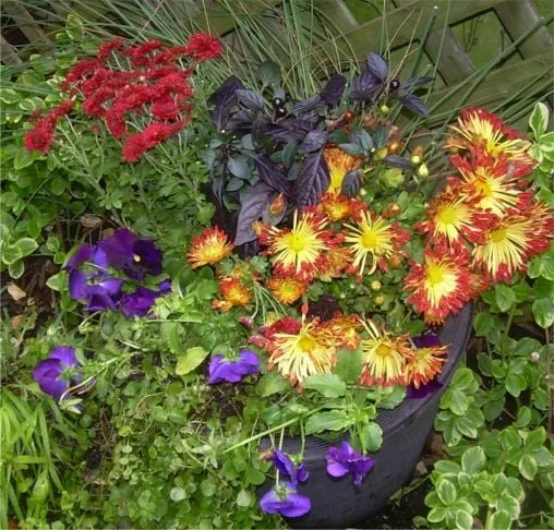 Expert residential landscaping in Chicago, IL - The Garden Gal