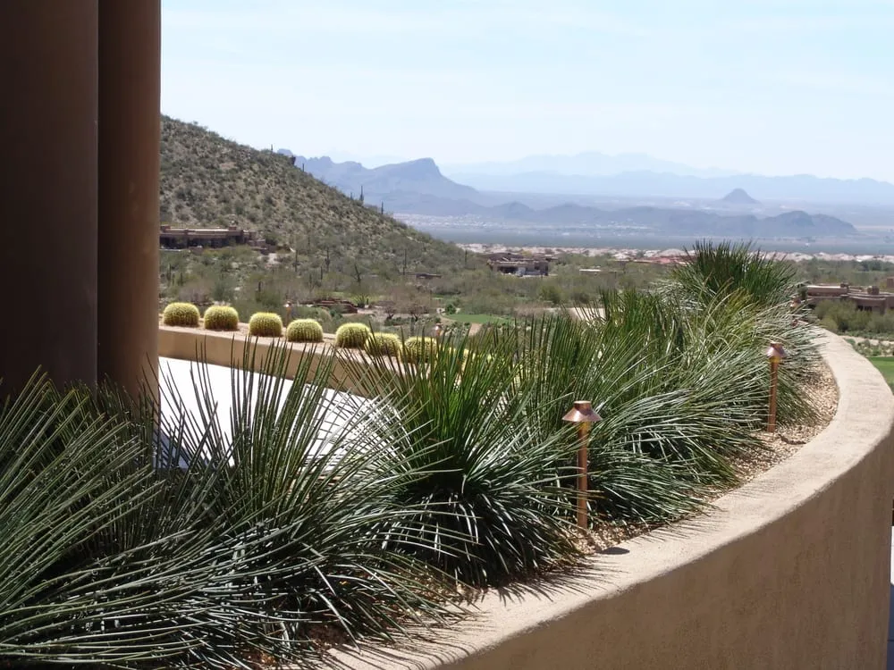 Reliable landscape installation near you across Oro Valley, AZ - The Garden Gate