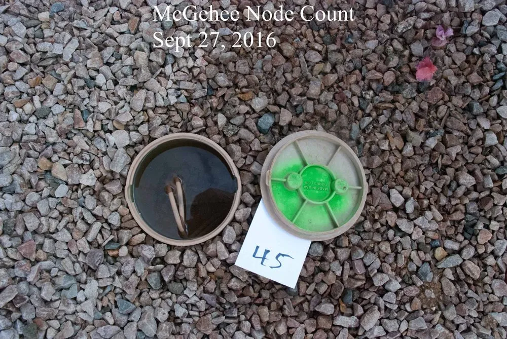 Reliable landscaping services experts serving Oro Valley, AZ - The Garden Gate