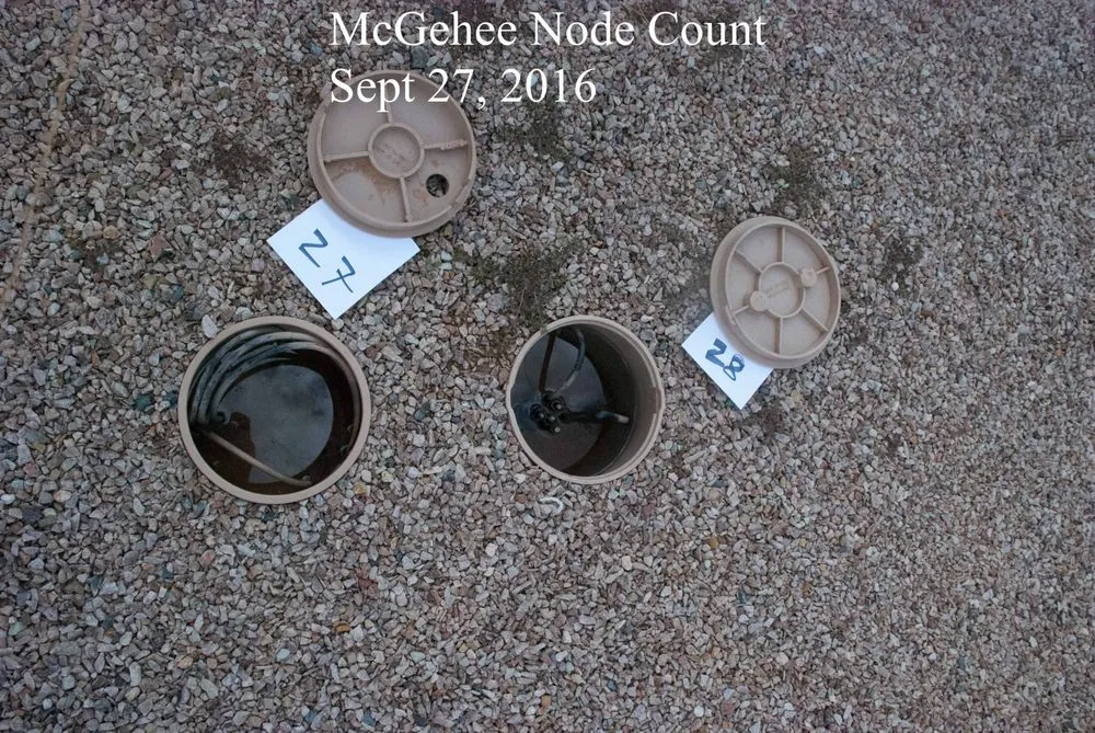 Reliable yard cleanup service experts serving Oro Valley, AZ - The Garden Gate