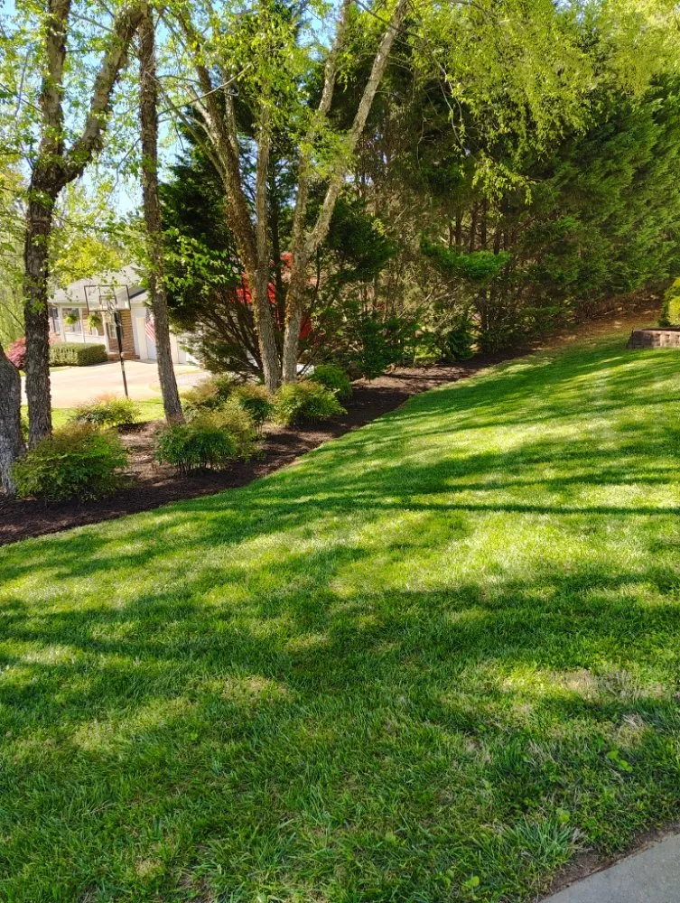 Professional landscape installation experts serving Lenoir, NC - The Garden Girls