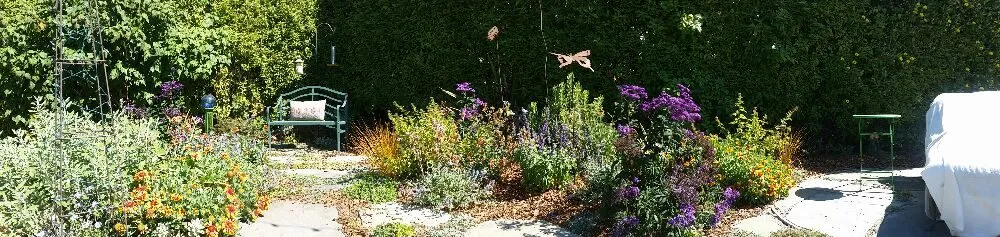 Trusted lawn mowing service in San Leandro, CA - The Garden Girls