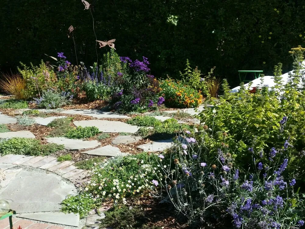 Top-rated landscaping services for beautiful yards in San Leandro, CA by The Garden Girls