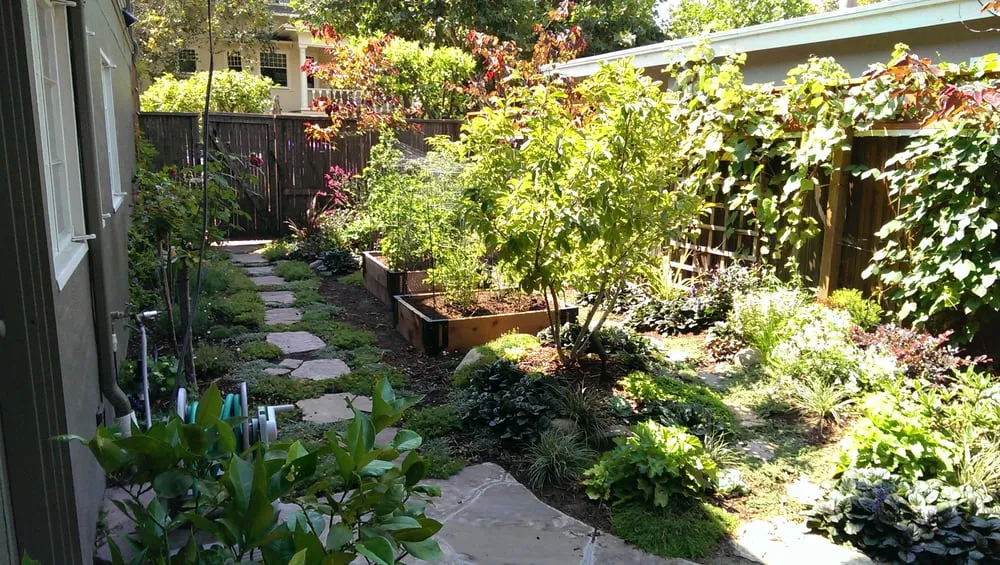 Trusted residential landscaping experts serving San Leandro, CA - The Garden Girls