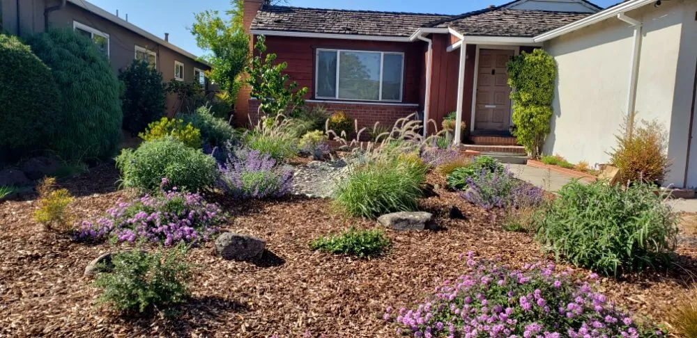 Professional landscaping services for residential properties across San Leandro, CA - The Garden Girls