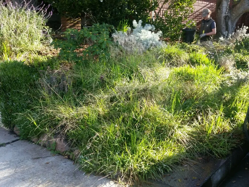 Top-rated residential landscaping for homes across San Leandro, CA - The Garden Girls