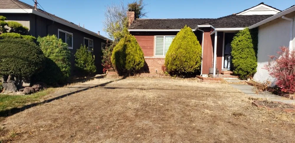 Custom garden landscaping in San Leandro, CA - The Garden Girls