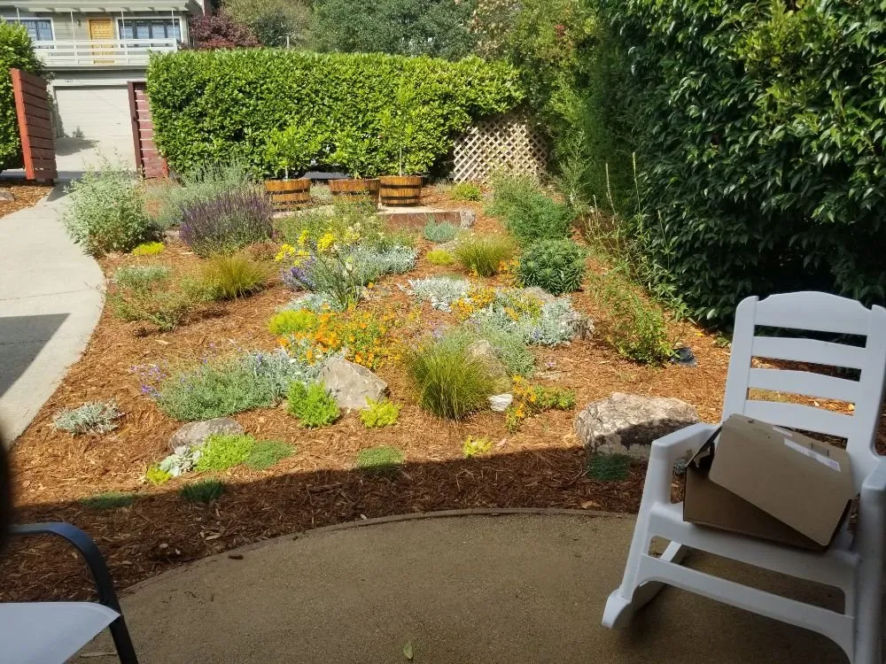Reliable yard cleanup service in San Leandro, CA by The Garden Girls